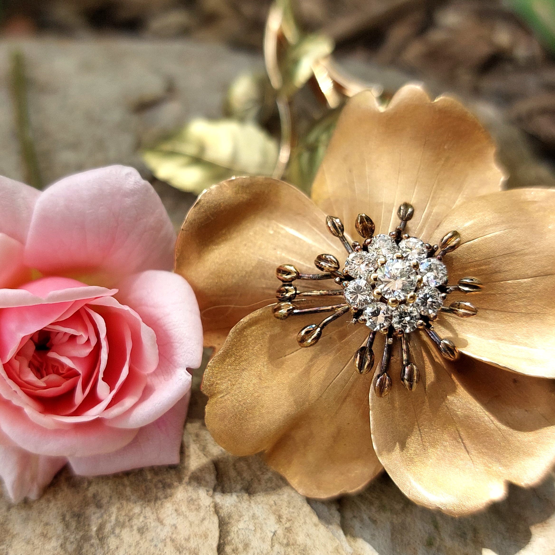 Tremblant brooch