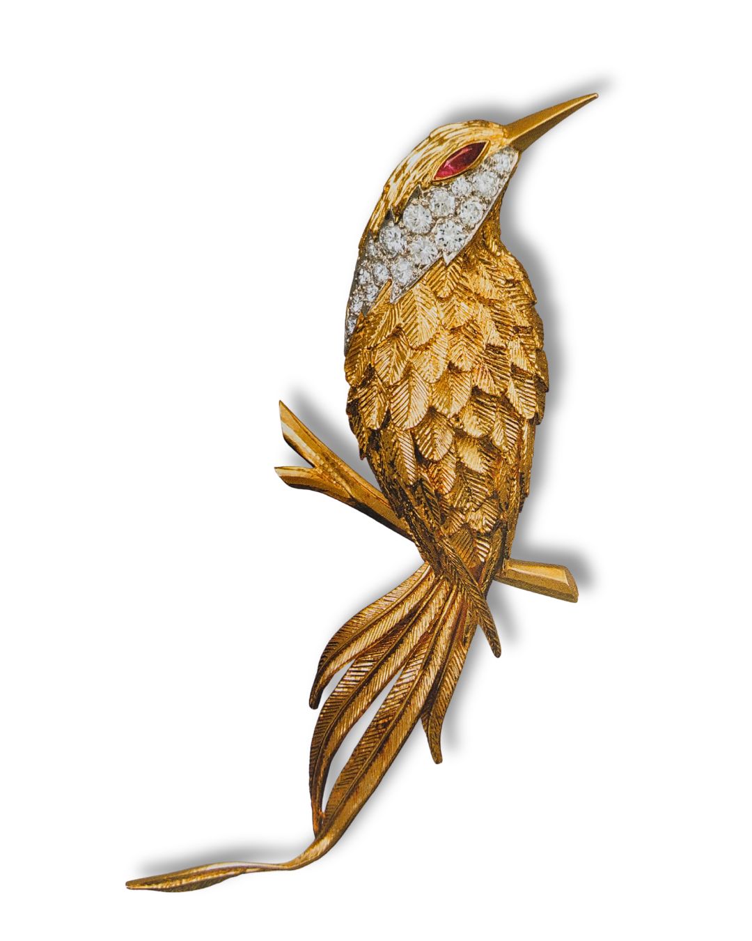 Van Cleef and Arpels, Clip Couroucou, 1965, platine, or, rubis et diamants, coll. VCA