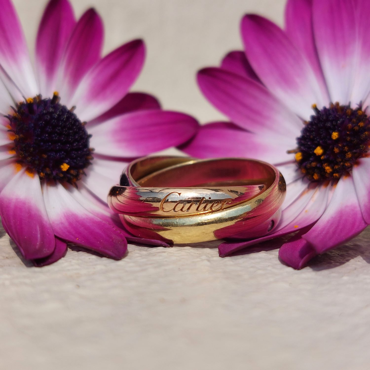 Cartier, bague Trinity modèle Classique, 5 diamants. Bague Trinity Cartier en or tricolore 18k — or jaune, or blanc et or rose — posée sur un muret de jardin et entouré de fleurs violettes, photographiée en lumière naturelle. Cinq diamants visibles sur l'anneau central.